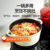 乐扣乐扣（LOCK&LOCK）珐琅铸铁锅双耳汤锅炖锅奶锅煮锅煮面煲汤电磁炉煤气灶白色24cm