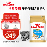 皇家柯基狗粮 幼犬粮  中型犬 12月以下 全价粮CGJ29 3KG【骨骼呵护】