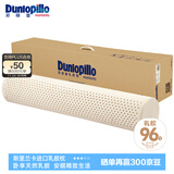 邓禄普（Dunlopillo）ECO长抱枕 斯里兰卡进口天然乳胶枕头 颈椎枕