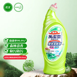 花王（KAO）双效洁厕液森林清香650ml进口马桶清洁剂洁厕灵厕所蓝泡泡洁厕液