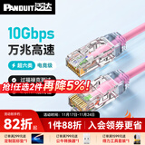 泛达 泛达超六类细网线CAT6A类跳线家用电脑宽带POE监控万兆高速成品线 真爱粉 1米
