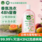 滴露消毒液消毒水衣物除菌液洗衣服地板杀菌除螨消毒喷雾片非84次氯酸 【48h留香】自然香氛消毒液1L