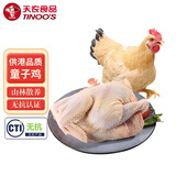 天农 清远岭南童子鸡 1.2斤 散养土鸡走地鸡小嫩鸡整鸡 冷冻 烤鸡清蒸