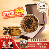 观采归【西藏那曲】野生冬虫夏草正宗送长辈老年人补品礼盒虫草礼品实用 [4根/克]10克家庭装40根（送一根人工草做比较