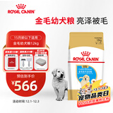 皇家狗粮 金毛幼犬狗粮 犬粮 宠物大型犬 AGR29 全价犬粮 2-15月 12KG
