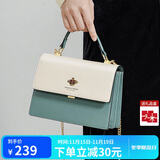 蔻一（Cnoles）包包女士款2025年最新款牛皮女生高端斜挎包通勤大容量单肩包