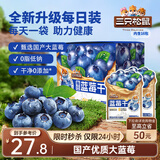 三只松鼠每日蓝莓干256g/16包 无添加水果干果脯小包装儿童老人办公室零食