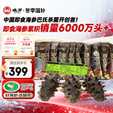 晓芹 大连即食海参 400g 7-10只 辽刺参 海鲜水产