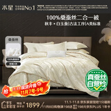 水星家纺蚕丝被100%桑蚕丝冬被子冬季子母被二合一被芯约10.4斤220×240cm