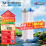 道尔顿（Doulton）净水器滤芯套装DCP203 DIP203 DIP301净水器专用滤芯 道尔顿2504M12UCC/KDF/PF等滤芯组合 DIP/DCP203滤芯套装2504M12+KDF