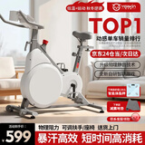 英尔健家用动感单车智能磁控静音运动减肥健身器材室内脚踏车健身单车 [进阶款]物理阻力+蓝牙对战
