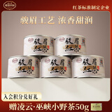 正山堂红茶 骏眉中国十大产区 听风骏眉红茶特级250g 茶叶源头直发