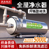 罗本康尼黄泥水克星全屋中央净水器家用大流量反冲洗过滤器自来水井水前置 5吨【两层户型净水】反冲洗+万向安装