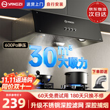 扬子抽油烟机家用大吸力吸排油烟机小尺寸老式中式油烟机抽烟机家用脱排油烟机顶吸吸油烟一级能效烟机 【升级款不包安装】铜电机+升级深腔滤网+一级能效