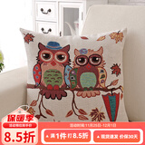 钟爱一生抱枕含芯靠垫办公室靠枕午睡腰枕卡通印花汽车床头靠垫 猫头鹰 45cm*45cm 含枕芯