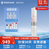 滨特尔（pentair） 净水器家用直饮厨下式超滤前置净水机保留矿物质母婴净饮机自来水过滤器饮水机 VIR3000S主滤芯 简易安装