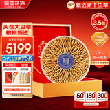 紫蓝花海冬虫夏草 头茬新干虫草滋补品过节送礼滋补礼盒 2-3条/g 50克【甄选量装】