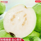京地达白心芭乐 番石榴软糯脆甜 净含量4.5斤单果150g+ 源头直发包邮