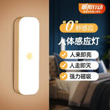 心有所属人体感应灯充电磁吸小夜灯卧室床头起夜灯家用氛围便携酷毙夜光灯