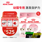 皇家猫粮 幼猫猫粮 幼猫奶糕 K36 通用粮 4-12月 4.5KG*2