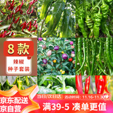 花沃里8款辣椒种子1000粒 蔬菜种子美人椒朝天椒牛角五彩椒二荆条螺丝椒