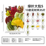 雅瑞乐树叶标本干树叶画叶子干树叶材料包植物标本手工diy新年生日礼物