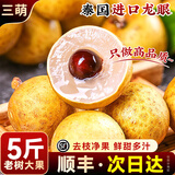 三萌果蔬泰国进口龙眼【JD/顺丰-多地次日达】当季老树新鲜孕妇水果送礼 3斤装【三口之家丨高性价比】净3斤 新鲜【30年老树龙眼】现摘现发