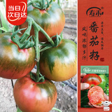 寿禾 草莓番茄种子苗绿肩西红柿蔬菜种籽 潍丰贝雷塔草莓番茄种子25粒