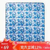 探路者（TOREAD）野餐垫 户外野营防潮垫春游野炊沙滩地垫TEFJ80197 油画墨彩薄纱蓝印花 