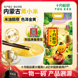 十月稻田 黄小米 5斤 可溯源 五谷杂粮 粥米 早餐小米粥 2.5kg