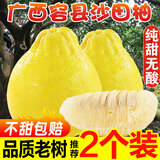 趣觅鲜正宗容县沙田柚产地直发广西特产纯甜无酸老树白肉柚子新鲜水果 2个大果4-4.5斤普通装