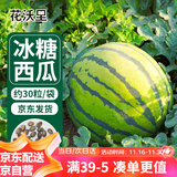 花沃里冰糖西瓜种子30粒/包 蔬菜种子花盆麒麟西瓜8424家庭盆栽种菜