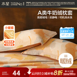 水星家纺枕套牛奶绒冬季双面保暖对枕套抗静电A类枕头罩一对装双人48x74cm