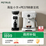 柏翠(petrus) 咖啡机意式浓缩家用小型半自动蒸汽打奶泡 海盐小方PE3833+PE3788