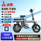 五羊代驾折叠电动自行车锂电池助力电单车长续航轻便成人代步电瓶车 豪华版/高速/进口/40A-120公里