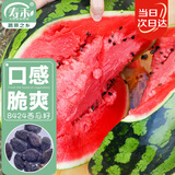 寿禾 西瓜种子苗麒麟8424薄皮大瓜超甜水果种籽 潍丰松脆8424种子40粒