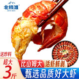 北极滩特大龙虾尾冷冻生鲜大特湖北海鲜虾类麻辣虾球烧烤食材年货 3斤超大特共105-135只固形物≥53% 送秘料