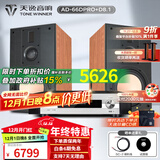 天逸（Winner）AD-66DPRO 合并式数字解码功放  高保真无线蓝牙发烧HIFI功放机 套餐3：搭配惠威D8.1