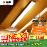 公牛（BULL）感应橱柜灯衣柜灯LED人感光感磁吸 卧室床沿玄关小夜灯60CM3000K