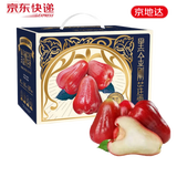 京地达海南黑金刚莲雾 礼盒装空运 净重3斤大果单果80g起  源头直发包邮