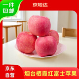 京地达烟台栖霞红富士苹果净重4.5斤单果约193g烟台苹果水果源头直发