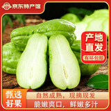 云南佛手瓜新鲜现摘佛手瓜农家佛手瓜有刺洋瓜蔬菜洋丝瓜福寿瓜 新鲜佛手瓜 3斤 带箱