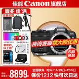 佳能r8 微单相机全画幅专微 4K视频EOSR8专业微单 下单抽拉布布&金豆 R8单机身+24-105 STM单包镜【标准变焦】 套餐四【拍套四免费升级套餐五 配件升级不加价】