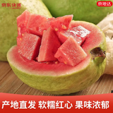 京地达红心芭乐 番石榴脆软糯 净重4.5斤单果150g+源头直发包邮
