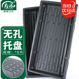 寿禾 育苗托盘多肉花盆秧苗塑料整理筐 无孔育苗托盘5片