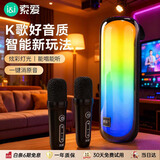 索爱（soaiy）S-58max 麦克风音响一体带话筒K歌无线便携式蓝牙音箱唱歌神器家庭KTV伴手礼生日礼物