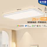 松下（Panasonic）吸顶灯接入米家app智能灯客厅灯全光谱灯具 饰116瓦 HHXSX070W
