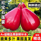 梦茜儿顺丰 海南黑金刚莲雾 新鲜5斤水果树上熟当季孕妇生鲜时令礼盒 3斤 A级中果【50-65g】红宝石莲雾 普快