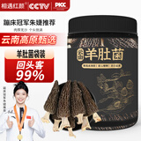 相遇红颜羊肚菌头茬新鲜野生菌干货云南特产礼盒 南北干货菌菇野生菌汤包 30g羊肚菌精品罐装