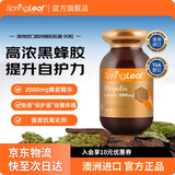 绿芙SpringLeaf绿芙澳洲黑蜂胶软胶囊增强免疫力高浓度2000mg365粒 90粒/1瓶装 2000mg*365粒/瓶